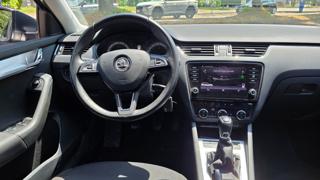 SKODA Octavia usata, con Fendinebbia
