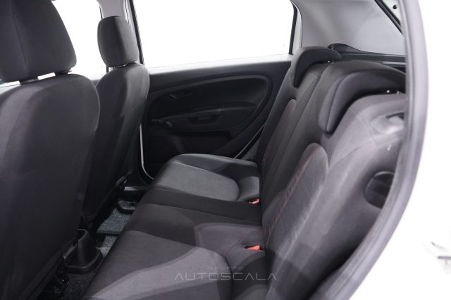 FIAT Punto usata 19