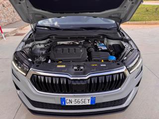 SKODA Karoq usata, con Specchietti laterali elettrici