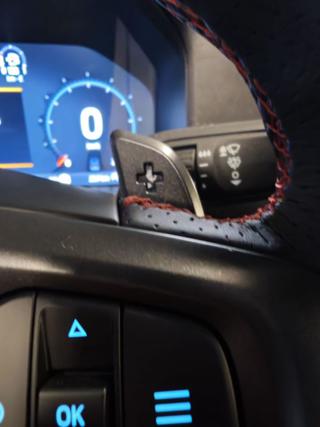 FORD Ranger Raptor usata, con USB