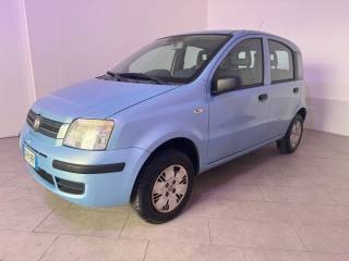 FIAT Panda usata 2
