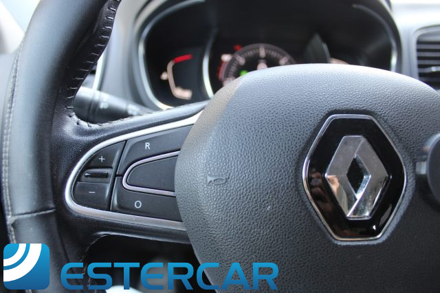 RENAULT Scenic usata, con Filtro antiparticolato
