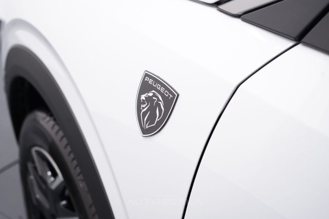 PEUGEOT 3008 usata, con Frenata d