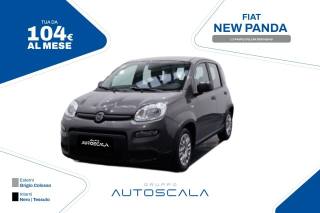 FIAT New Panda 1.0 FireFly City Life S&S Hybrid