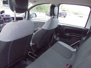 FIAT Panda usata 19
