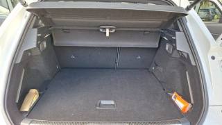 DS AUTOMOBILES DS 7 Crossback usata, con Fendinebbia