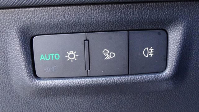 SKODA Kodiaq usata 90