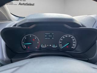 FORD Transit Connect usata 11