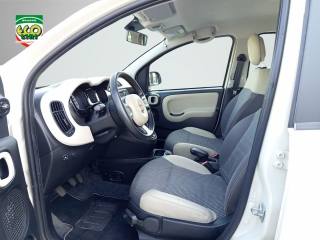 FIAT Panda Cross usata, con Specchietti laterali elettrici