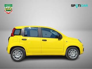 FIAT Pandina usata, con Airbag Passeggero