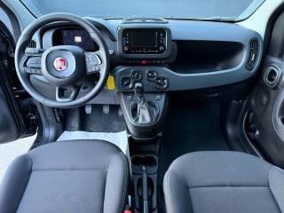 FIAT Panda usata, con Antifurto