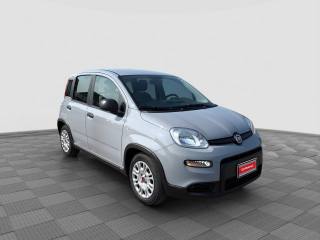 FIAT Panda usata 6