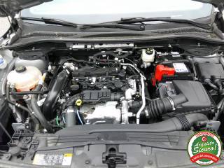 FORD Kuga usata, con Servosterzo