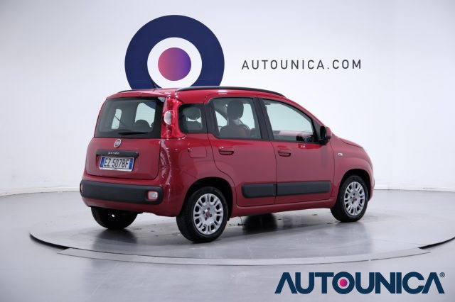 FIAT Panda usata 14