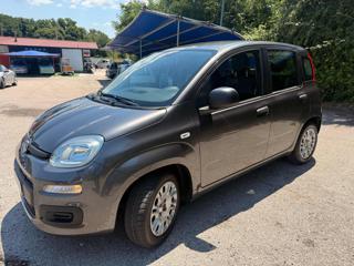 FIAT Panda usata, con Airbag Passeggero