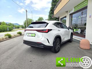 LEXUS NX 350h usata, con Climatizzatore