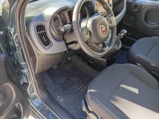 FIAT Panda Cross usata, con Climatizzatore