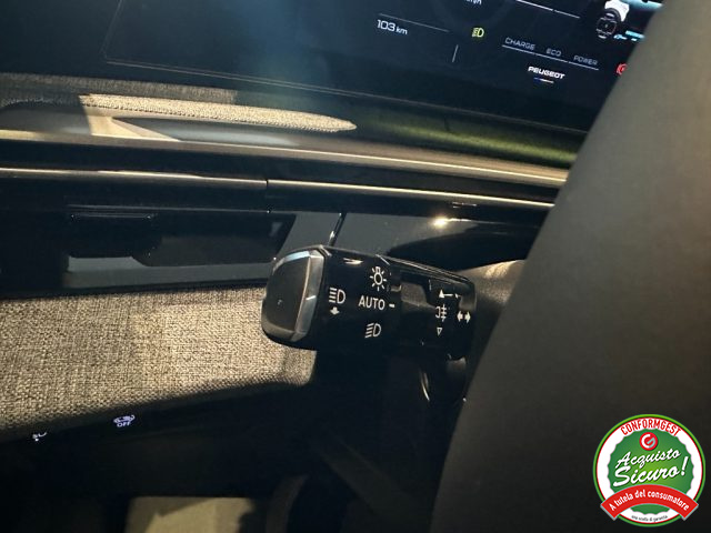 PEUGEOT 3008 usata, con Autoradio digitale