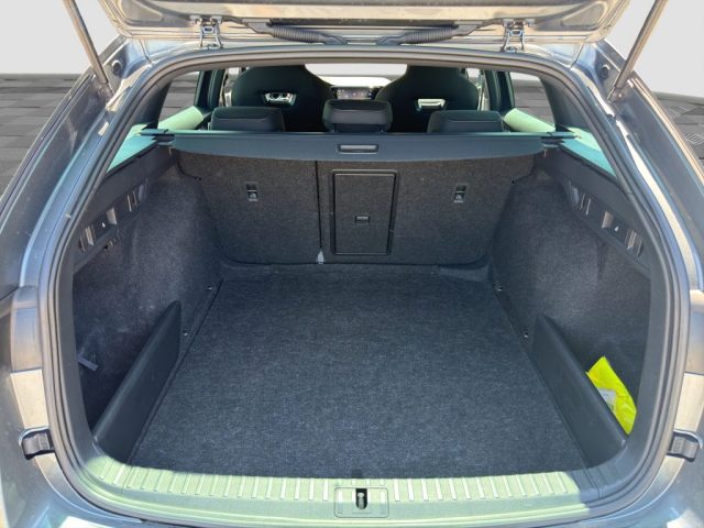 SKODA Octavia usata 14