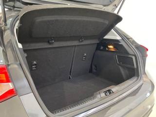 FORD Focus usata, con Fendinebbia