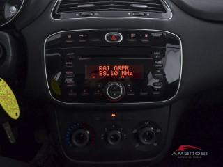 FIAT Punto usata 13