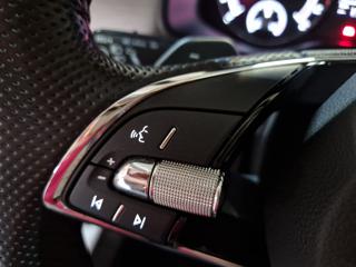 SKODA Kodiaq usata, con Leve al volante