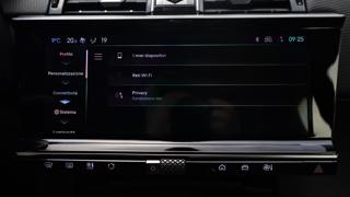 DS AUTOMOBILES DS 7 usata, con Chiamata automatica per emergenze