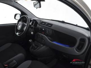 FIAT Panda usata 11