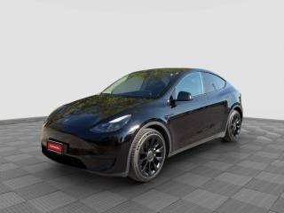 TESLA Model Y Model Y RWD