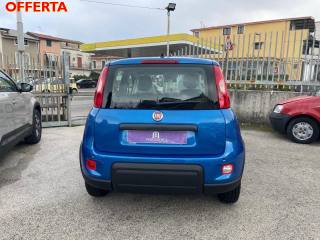 FIAT Panda usata, con Climatizzatore