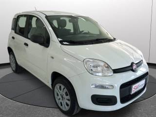 FIAT Panda usata, con Airbag