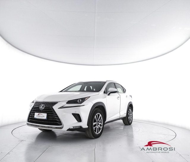 LEXUS NX 300h usata 0