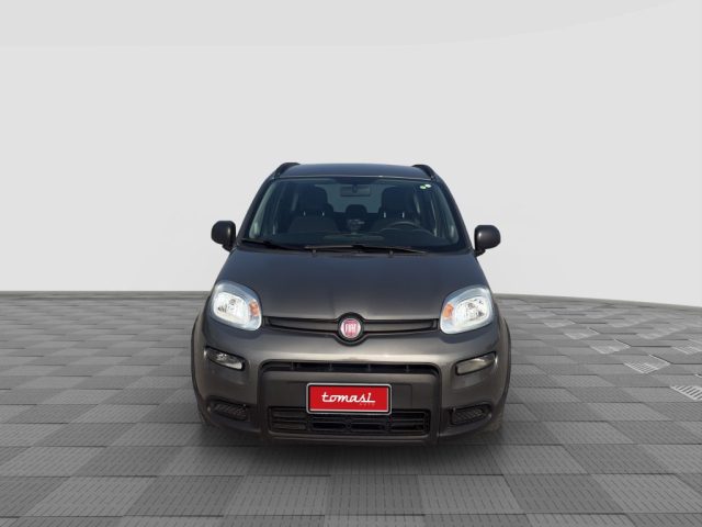 FIAT Panda usata 3