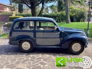FIAT 500 usata 7