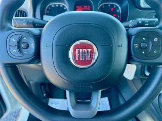 FIAT Panda usata 18
