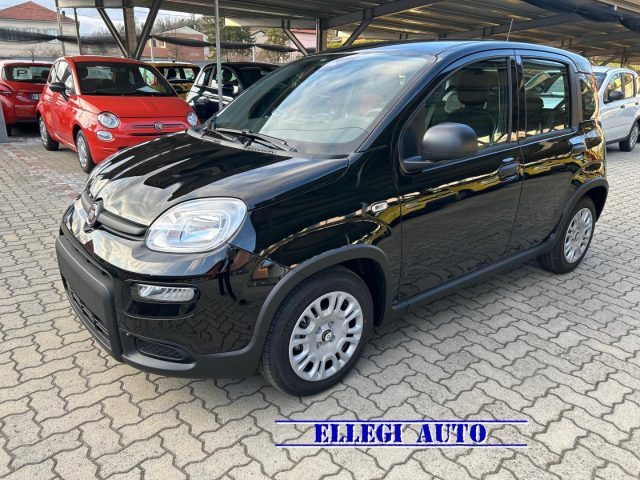 FIAT Panda usata, con Climatizzatore