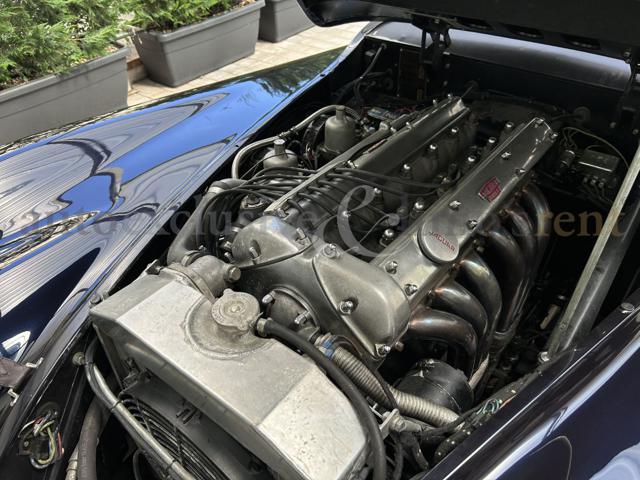 JAGUAR XK usata 10