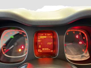 FIAT Panda usata 13