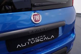 FIAT Panda usata 27