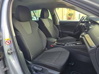 SKODA Octavia usata 131