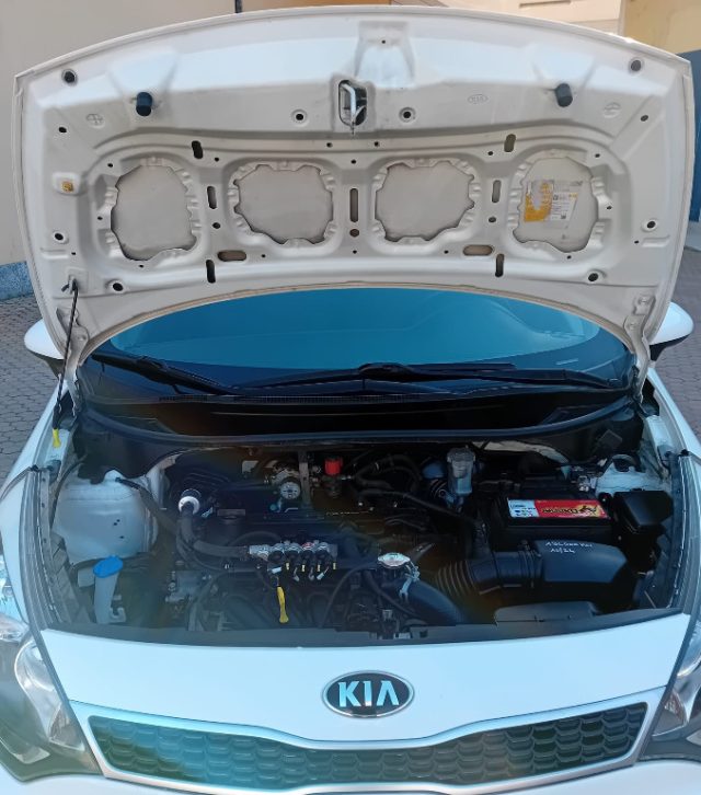 KIA Rio usata 5