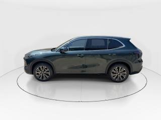 GEELY Starray EM-i usata 3