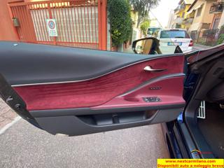 LEXUS LC 500 usata, con Interni in pelle