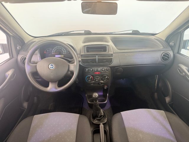 FIAT Punto usata 12