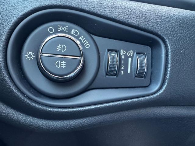 JEEP Renegade usata, con ESP