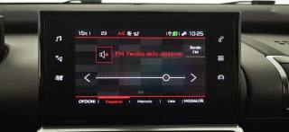 CITROEN C4 Cactus usata 65