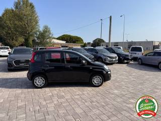 FIAT Panda usata, con Climatizzatore