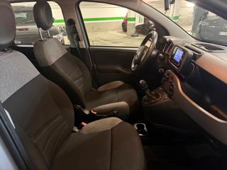 FIAT Panda usata, con Controllo trazione
