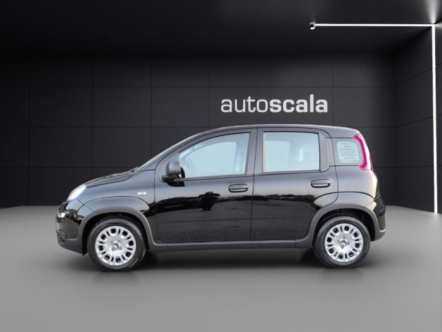 FIAT Panda usata, con Airbag