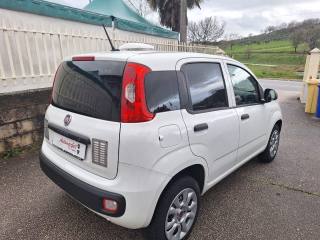 FIAT Panda usata, con Autoradio